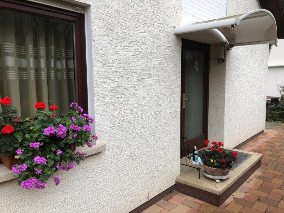 Ferienwohnung Heidelberg Ze-2020-7-Wz Exterior photo